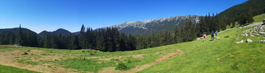 Mountain landscape in the summer with blue sky - panormic view 