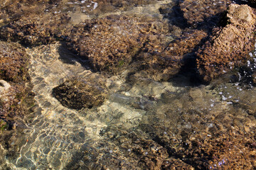 Rocky sea floor visible through crystal clear sea water. Water ripple pattern in a stream. Beautiful green and gold colors.