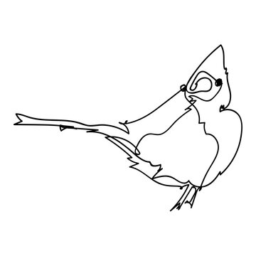 Single line bbird illustration
