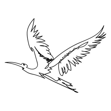 Single line bbird illustration