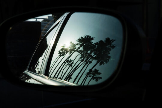 Palm trees reflecting in car mirror