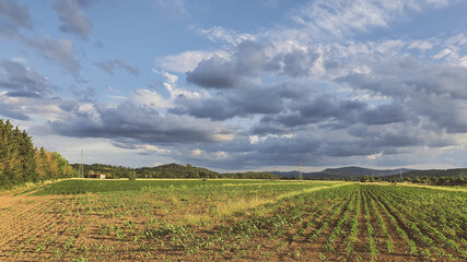 Fototapeta na wymiar Fields of the Umbrian country, a beautiful region of the central Italy.