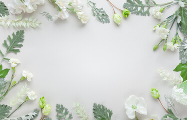 Fototapeta na wymiar White flowers and silver-green leaves on pastel grey background. Flowers composition with copy space, flat lay.