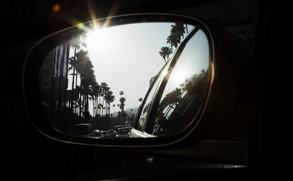 Palm trees reflecting in car mirror