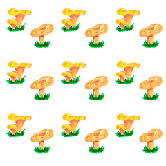 Obraz premium Watercolor seamless pattern. Edible yellow mushrooms isolated on white background.