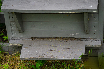 Wooden houses for bees in the countryside. Bee hives.
