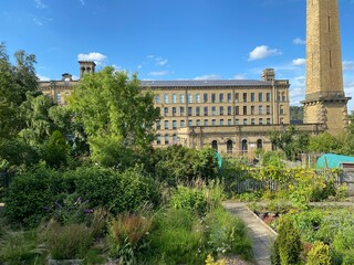 Fototapeta na wymiar Garden allotments in the foreground, with plants and shrubs, and the large Victorian Saltaire mill, in the background in, Saltaire, Bradford, UK.