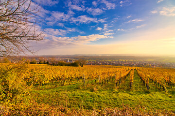 autumn in kraichgau with a view of a village