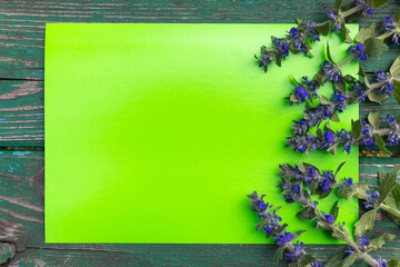 Bunch of blue field flowers on the right side of green background and wooden surface. Flat lay, copy space, close up, top view