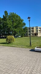 Naklejka premium street lamp in the park