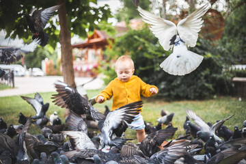 Cute little kid playing and feeding pigeons in the park
