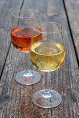 Tasting of Dutch rose and dry white wine on vineyard in summer