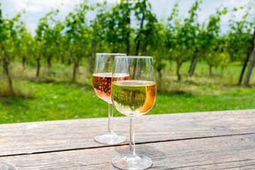 Tasting of Dutch rose and dry white wine on vineyard in summer