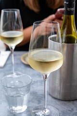 Drinking cold white wine with friends on outdoor terrace, summer vacation