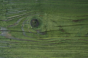 green wood texture