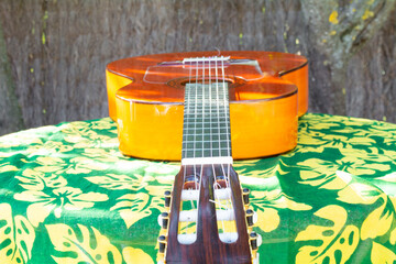 Guitarra flamenca