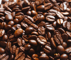 coffee beans background