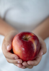 In the hands of a child is a ripe, large, red apple.