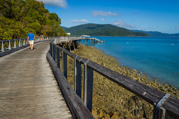 Man walking. Wooden boardwalk on sunny rocky shores. Daytime, Long Island, Queensland, Australia. 