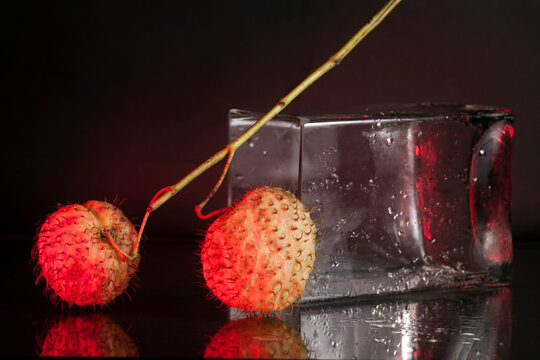 strange plant close up studio shot 