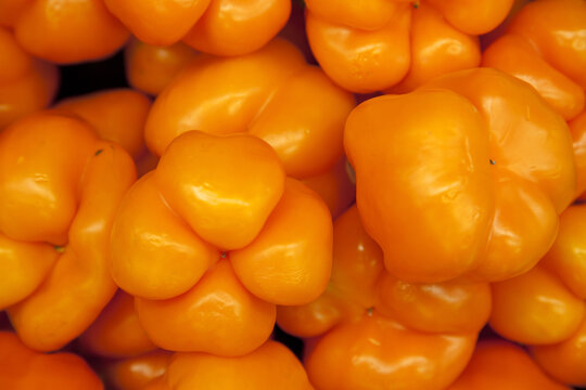 Close-up Of Orange Bell Pepper