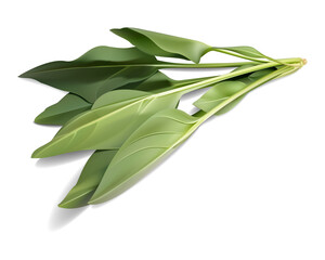 ほうれん草イラスト/透明背景なのでどんな背景にもよく馴染む/リアルよりも美しく