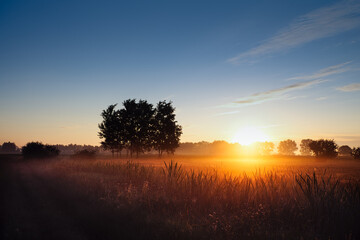pod oławskim szpitalem © mateusz