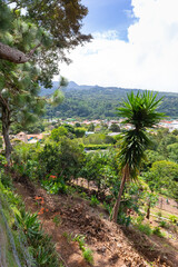 Obraz premium Panama Boquete seen from the hills