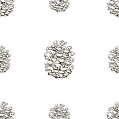 Vector abstract illustration of a pine cone