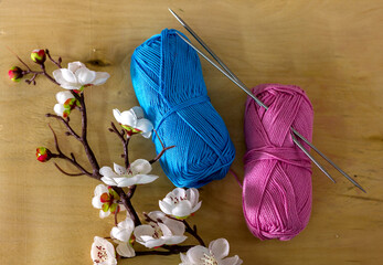 skeins of cotton yarn for knitting on a light wooden background with a sprig of spring white flowers