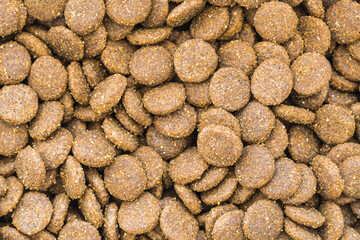 Fototapeta na wymiar Dry Dog and Cat food. Pile of kibbles. Close up for wallpaper.