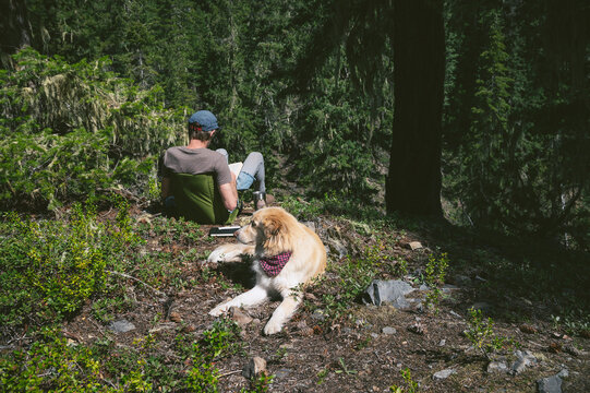 Reading In The Mountains With Dog Laying In The Sun