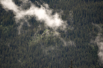 Moody, cloudy scene of the untouched and wild Canadian wilderness with misty fog overhanging the tree tops.   