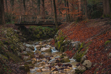 autumn park outdoor scenery nature landscape photography of rocky river stream and wooden bridge romantic atmospheric fairy tale environment space of October fall season