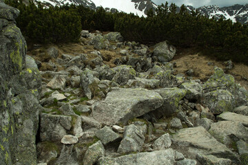 Autumn travel mountain nature textures and assets for matte painting, rendeings, backplates and photobashing.