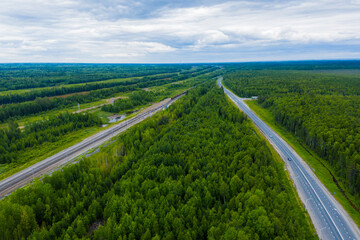 Straight road through green pine forest. spring landscape. aerial view.