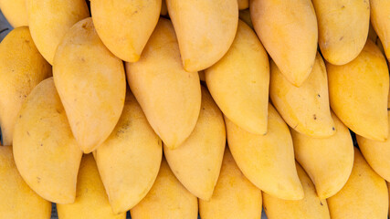 selling fresh mangoes in a market in Asia. Mango is the most popular fruit in Asia.