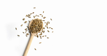 Wooden spoon with brown grains of wheat on the left side on white isolated background. Oats rye barley. Blank space for text. Top view. Banner for web site