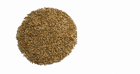 Grains of wheat, barley, rye, oat on white background natural dry grain in form of circle on the left side, isolated, top view. Free space for text. Banner for web site