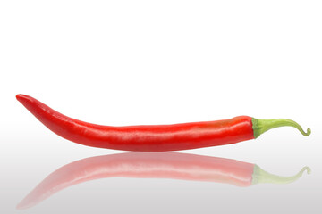 Fototapeta na wymiar red hot chili pepper isolated on a white background