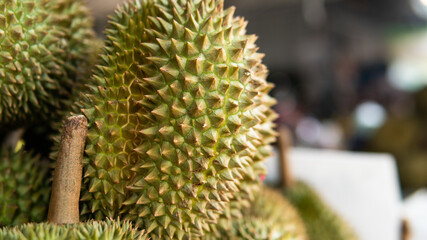Naklejka na ściany i meble sale of durian fruits in Asian markets. The most popular and exotic fruit in the world.