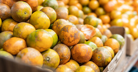 .selling Asian oranges in the fruit markets.