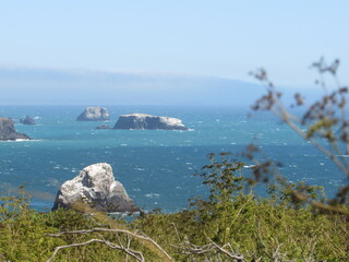 Route 1 from Bodega Bay to Hardy Creek