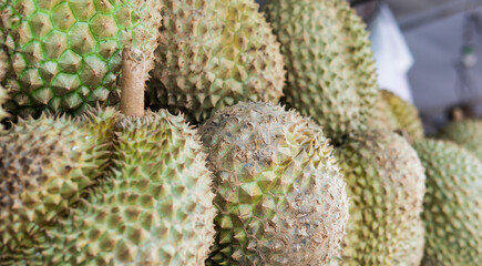 sale of durian fruits in Asian markets. The most popular and exotic fruit in the world.