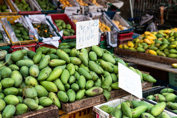 green mangoes lying on a market counter. Exotic fruits of Asia
