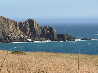 Route 1 from Bodega Bay to Hardy Creek