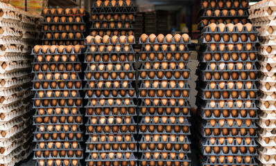Wholesale eggs worldwide. The benefits of chicken for daily eating