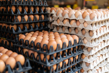 Wholesale eggs worldwide. The benefits of chicken for daily eating