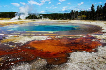 colourful geyser pools in yellowstone