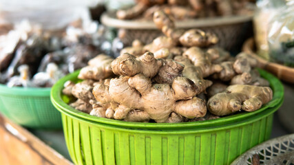 wholesale ginger to the world markets. Ginger - the most useful supplement for strengthening immunity